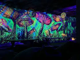 Psychedelic Art & Flow Workshop